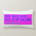 (Bre was here) ave. stop hating  Pillows (Lumbar)
