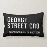 George  Street  Pillows (Lumbar)