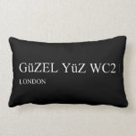 güzel yüz  Pillows (Lumbar)