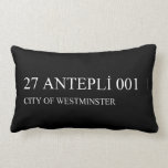 27 ANTEPLİ 001  Pillows (Lumbar)