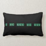 In the name of god  Pillows (Lumbar)
