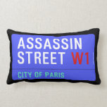 ASSASSIN Street  Pillows (Lumbar)