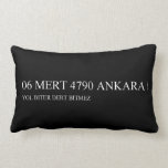 06 MERT 4790  Pillows (Lumbar)