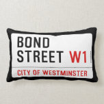 Bond Street  Pillows (Lumbar)