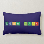 Graham Lester  Pillows (Lumbar)