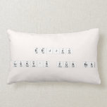 DDJJCC
 
 Lucky's Fun Run  Pillows (Lumbar)