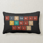 MUHAMMAD
 FARMAN
 AWAN  Pillows (Lumbar)