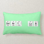 SMART LAB  Pillows (Lumbar)