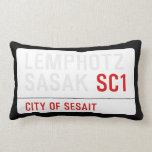 LEMPHOTZ SASAK  Pillows (Lumbar)