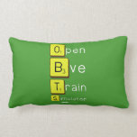 Open
 Bve
 Train
 Simulator  Pillows (Lumbar)