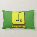 J
 JENNI  Pillows (Lumbar)