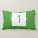 1  Pillows (Lumbar)