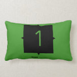 1  Pillows (Lumbar)