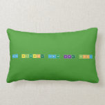 More Blessing Comes Like Flood  Pillows (Lumbar)
