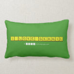 I_LOVE_DEBBIE  Pillows (Lumbar)