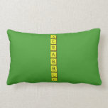 S
 C
 R
 A
 B
 B
 L
 E  Pillows (Lumbar)