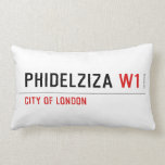 PHIDELZIZA  Pillows (Lumbar)