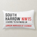 South  harrow  Pillows (Lumbar)
