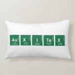 AUXITEX  Pillows (Lumbar)
