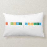I Love Donutz
   Pillows (Lumbar)