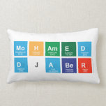 Mohamed
 Djaber  Pillows (Lumbar)
