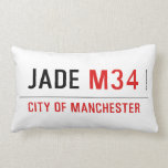 Jade  Pillows (Lumbar)
