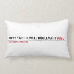 Upper Kettlwell Boulevard  Pillows (Lumbar)