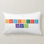CHEMISTRY
 NASRIN  Pillows (Lumbar)