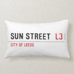 Sun Street   Pillows (Lumbar)