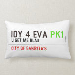 idy 4 eva  Pillows (Lumbar)