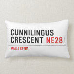 Cunnilingus  crescent  Pillows (Lumbar)