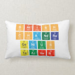 Satish
 Chandra
 Genius
 Teacher  Pillows (Lumbar)