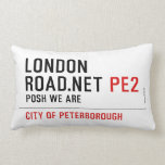 London Road.Net  Pillows (Lumbar)