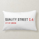 Quality Street  Pillows (Lumbar)