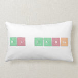 Ms Danna  Pillows (Lumbar)