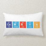Camryn  Pillows (Lumbar)