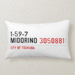 1-59-7  MIDORINO  Pillows (Lumbar)
