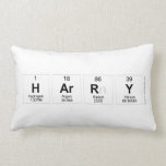 Harry  Pillows (Lumbar)