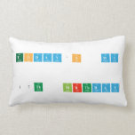    TODAY'S  MY   17th  BIRTHDAY  Pillows (Lumbar)