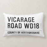 VICARAGE ROAD  Pillows (Lumbar)