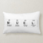 muel  Pillows (Lumbar)
