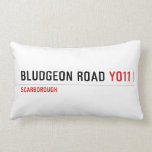 BLUDGEON ROAD  Pillows (Lumbar)