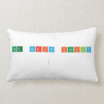 The Script Family 
 
   Pillows (Lumbar)