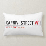 caprivi street  Pillows (Lumbar)