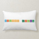 Wilson Gilliam  Pillows (Lumbar)