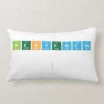 Bienvenidos 
 
   Pillows (Lumbar)