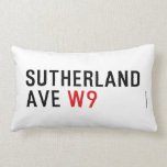 Sutherland ave  Pillows (Lumbar)