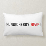 Pondicherry  Pillows (Lumbar)