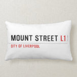 Mount Street  Pillows (Lumbar)