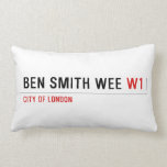 Ben Smith Wee  Pillows (Lumbar)